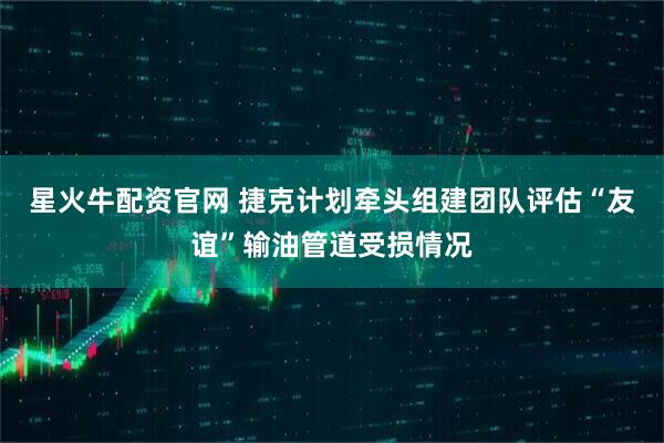 星火牛配资官网 捷克计划牵头组建团队评估“友谊”输油管道受损情况