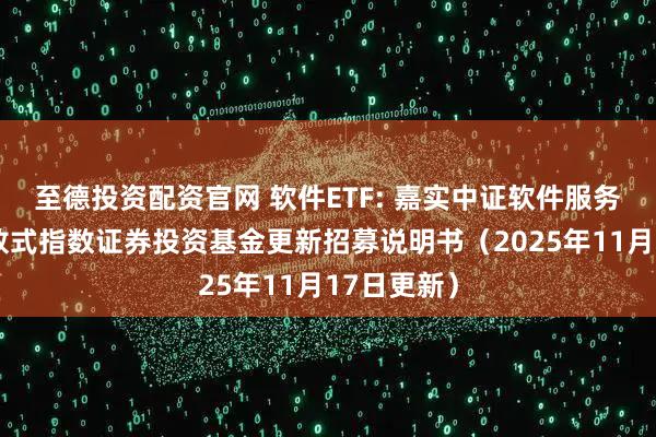 至德投资配资官网 软件ETF: 嘉实中证软件服务交易型开放式指数证券投资基金更新招募说明书（2025年11月17日更新）