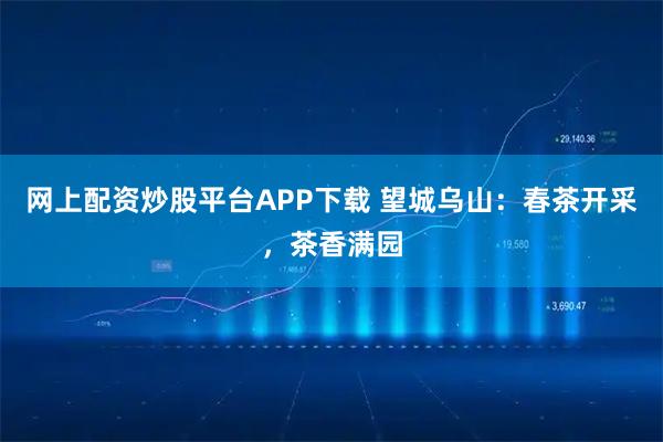 网上配资炒股平台APP下载 望城乌山：春茶开采，茶香满园