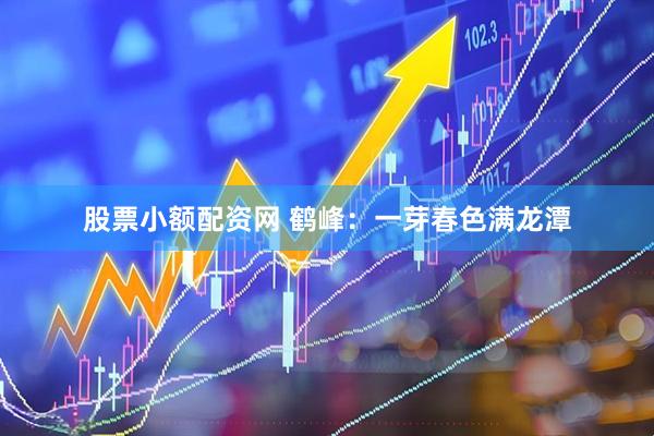 股票小额配资网 鹤峰：一芽春色满龙潭